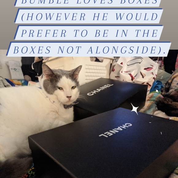 Meet your Posher, Karen Theresa - Picture 6 of 7